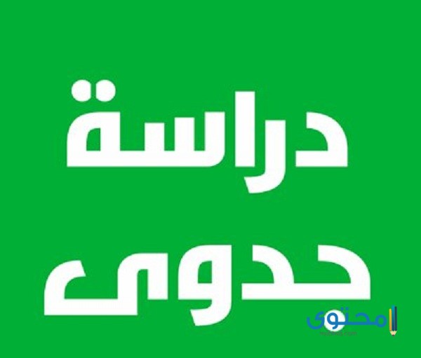 دراسة جدوى مشروع صغير وناجح وغير مكلف للبنات