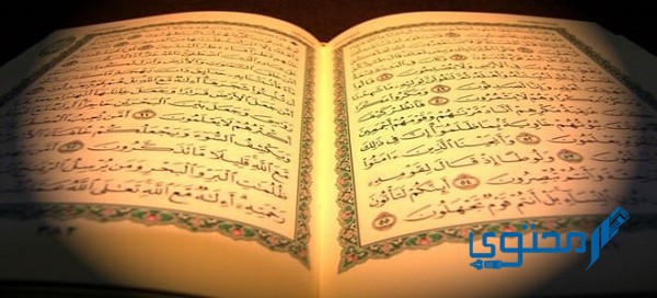 دعاء ختم القرآن للشيخ السديس مكتوب بخط واضح PDF