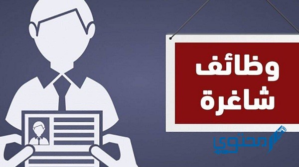 وظائف أبشر التسجيل والتقديم على الوظائف الشاغرة في خدمة أبشر