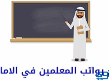 راتب المعلم في الإمارات