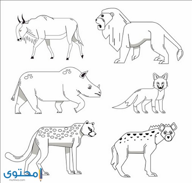 رسم حيوانات للاطفال