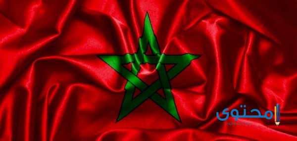 علم المغرب للتلوين رسومات علم المغرب للتلوين