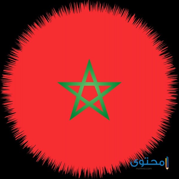 علم المغرب للتلوين11 رسومات علم المغرب للتلوين