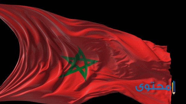 علم المغرب للتلوين5 رسومات علم المغرب للتلوين