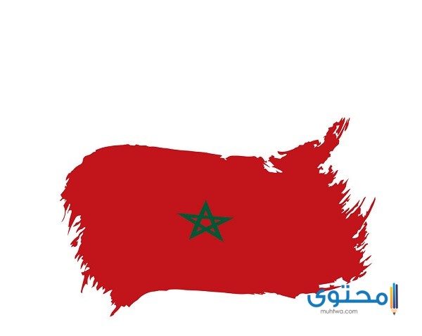 علم المغرب للتلوين7 رسومات علم المغرب للتلوين