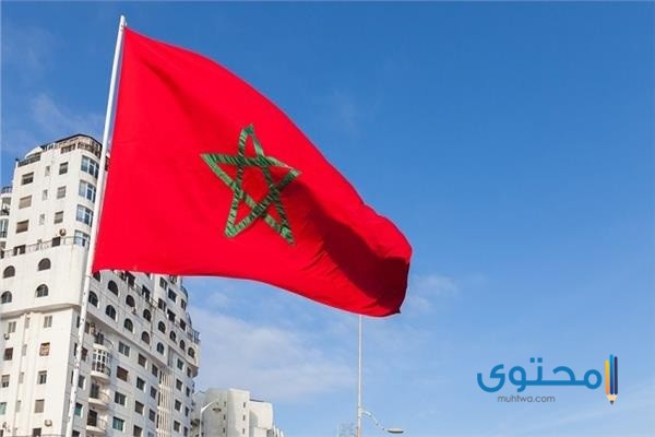 علم المغرب للتلوين8 رسومات علم المغرب للتلوين