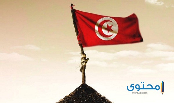 علم تونس للتلوين10 رسومات علم تونس للتلوين