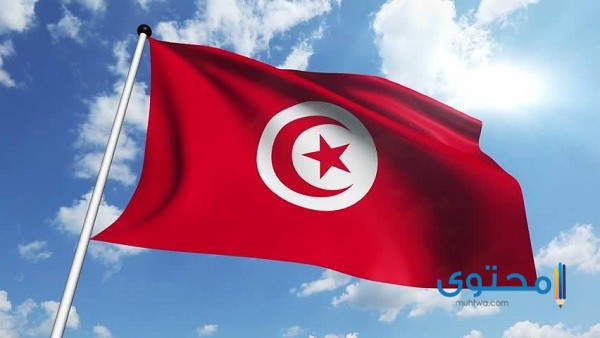 علم تونس للتلوين5 رسومات علم تونس للتلوين