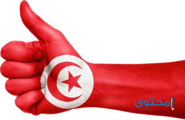 علم تونس للتلوين6 رسومات علم تونس للتلوين