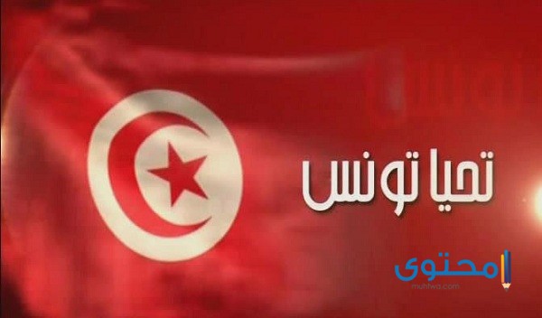 علم تونس للتلوين7 رسومات علم تونس للتلوين