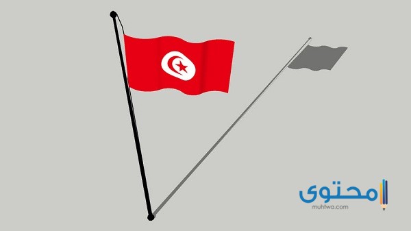 علم تونس للتلوين8 رسومات علم تونس للتلوين