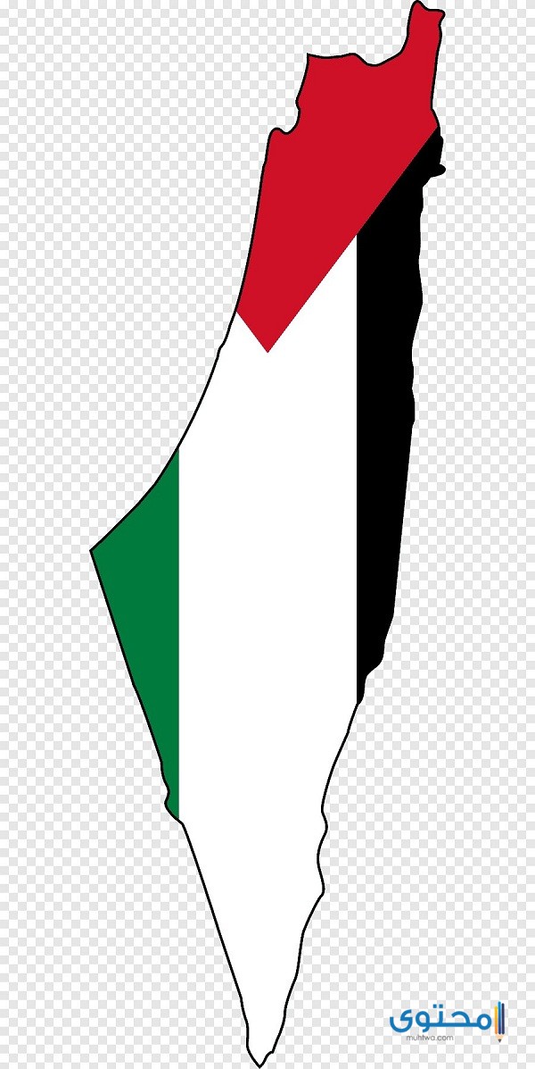 رسومات علم فلسطين للتلوين