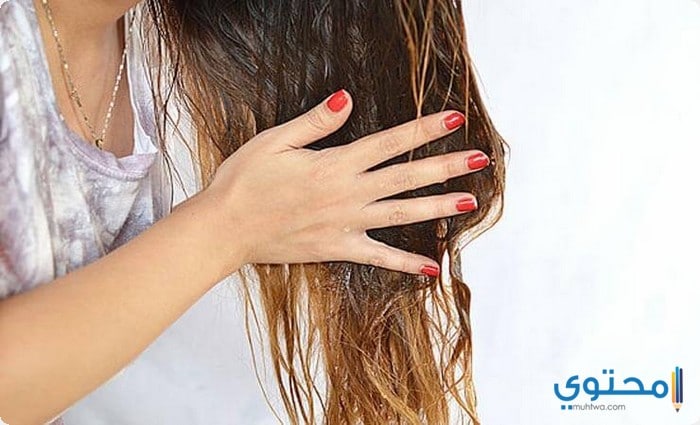 زيت الروزماري للشعر