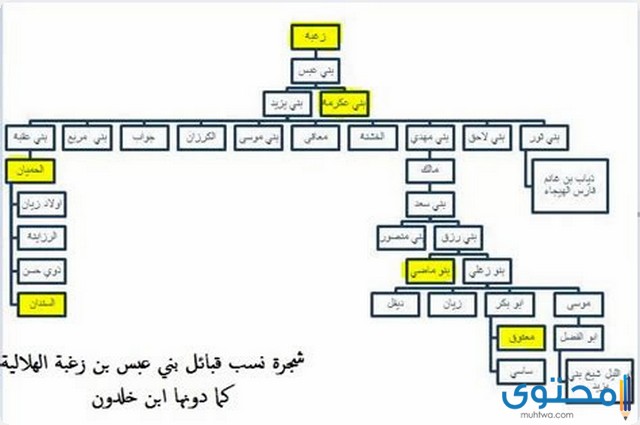 شجرة العائلة في الجزائر