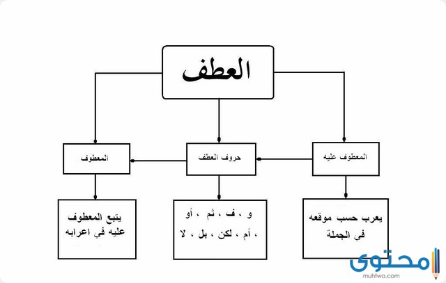 درس العطف