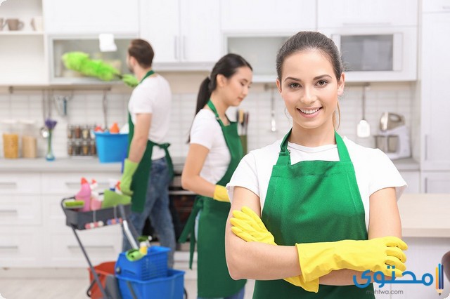 شركات تأجير العمالة المنزلية في الرياض