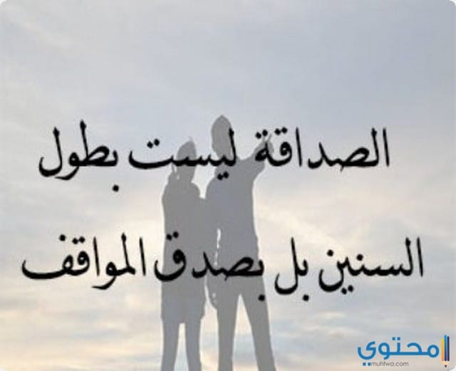 شعر عن الاصدقاء