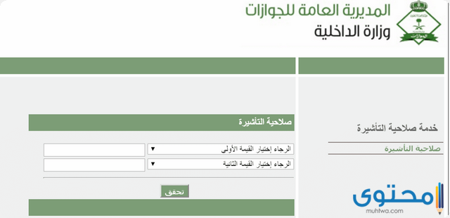 صلاحية التأشيرات