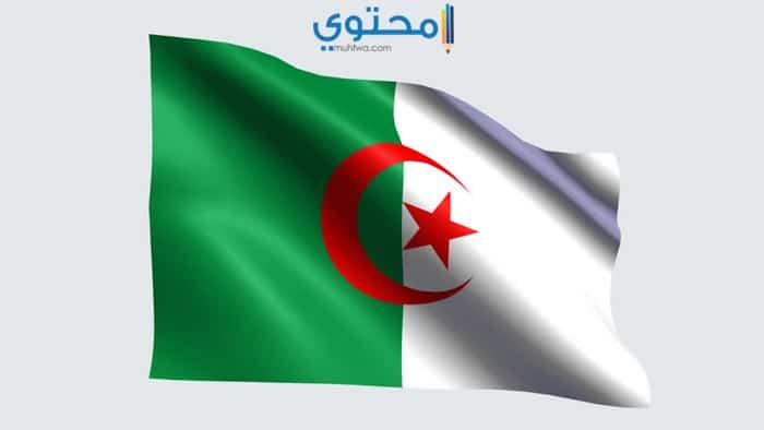 أروع صور لعلم الجزائر 