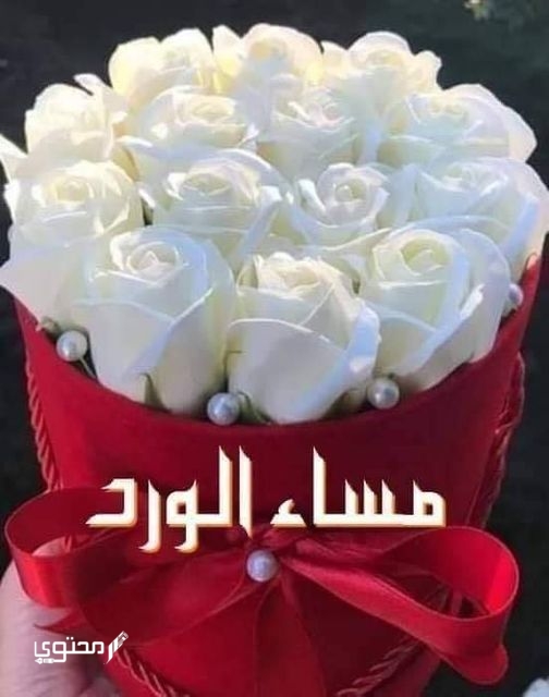 صور مساء الفل والخير جديدة 2025