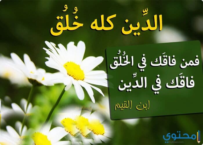 صور معبرة عن الإخلاص والوفاء