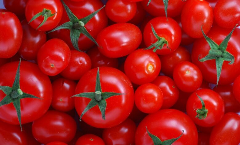 فوائد الطماطم للجسم والبشرة والشعر