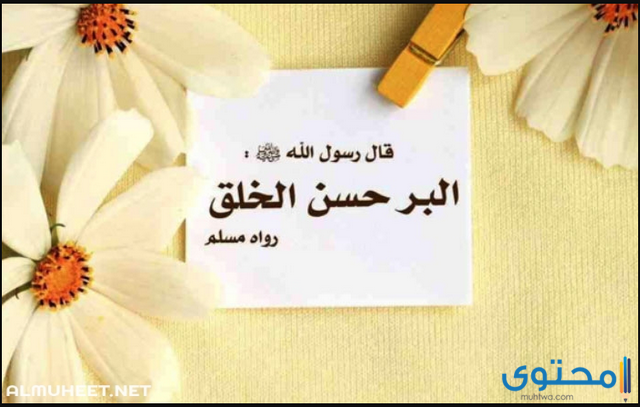 عبارات عن حسن التعامل