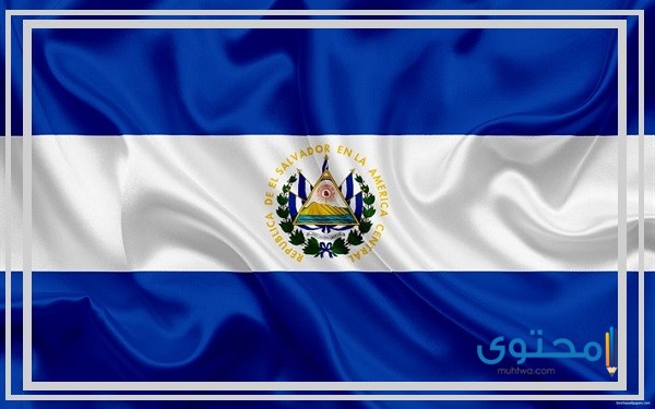 ما هي عملة السلفادور والفئات المعدنية والورقية التي تتضمنها؟