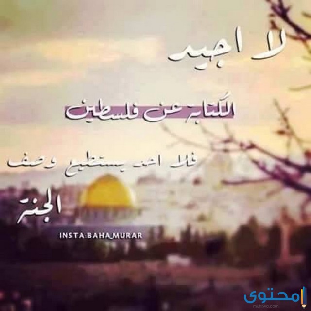 عبارات عن القدس