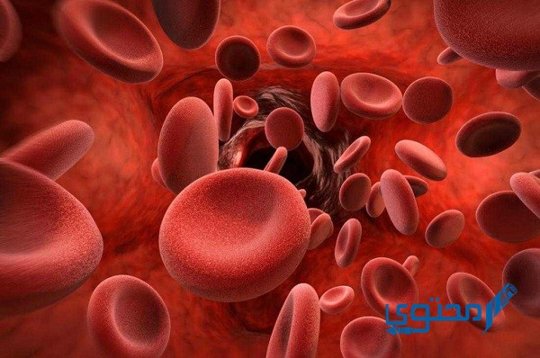 كم عدد خلايا الحمراء التي ينتجها الجسم في اليوم الواحد