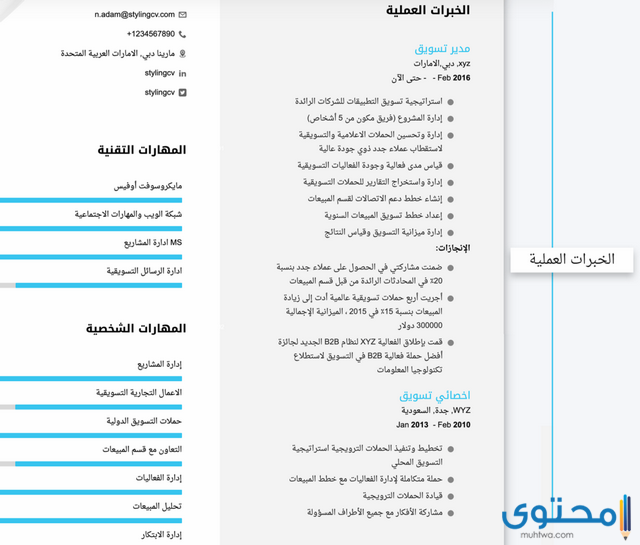 الخبرات العملية في السيرة الذاتية