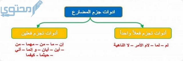 علامات جزم الفعل المضارع