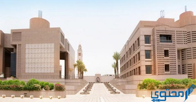 تخصصات جامعة جدة في السعودية