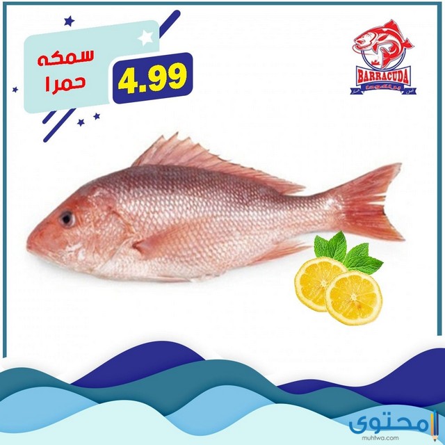 مطعم سمك في الأردن