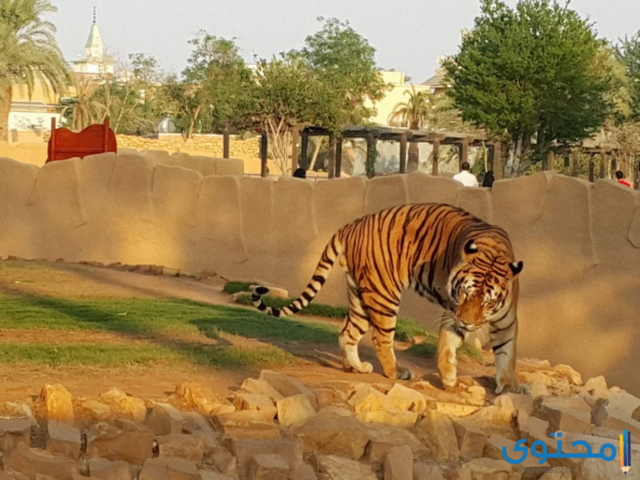 مواعيد حديقة الحيوان بالرياض