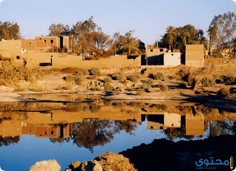 آبار موط و بئر عين الجبل فى الداخلة 