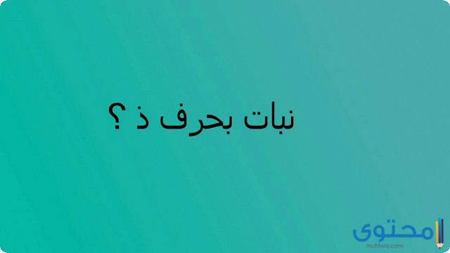 اسم نبات بحرف الذال ذ (اشهر نباتات حرف ذ)